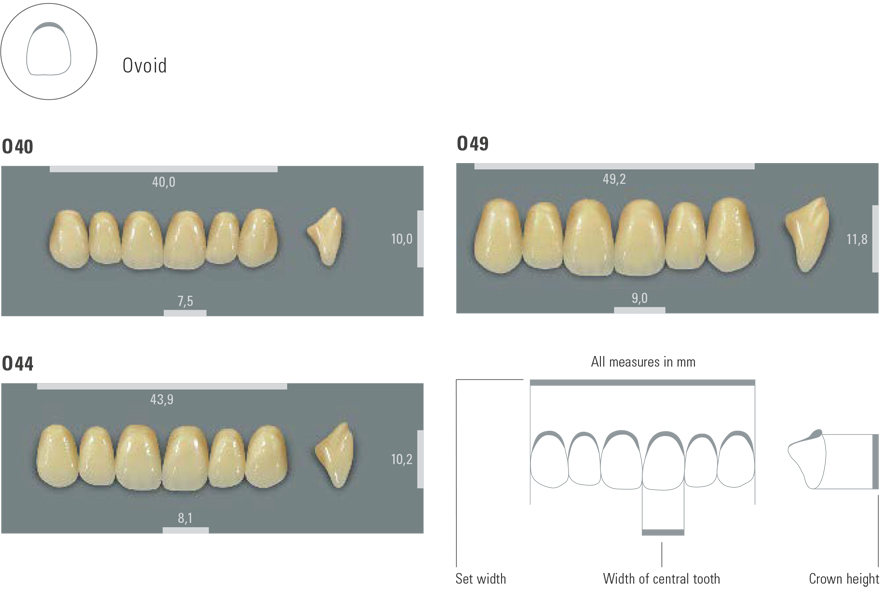 VITA MFT UPPER ANTERIORS OVOID MOULD CHART